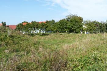 pohled z jihovýchodního valu na východní část tvrziště ( © Jan P. Štěpánek 09/2008)