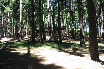 pohled na hrádek od jihu (© D Dohňanský, 07/2015)