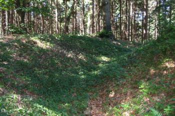 Jižní příkop s valem /od východu/ (© D Dohňanský, 07/2015)