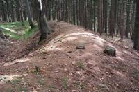 Střeliště