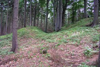 Východní příkop ( © Roman Řezáč 06/2004)
