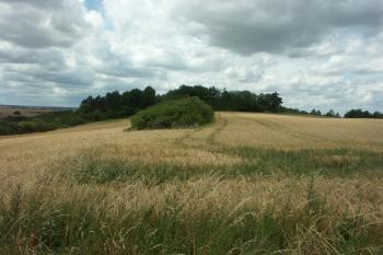 pohled z plochy předhradí na vnitřní hradiště ( © Milan Caha 07/2007)