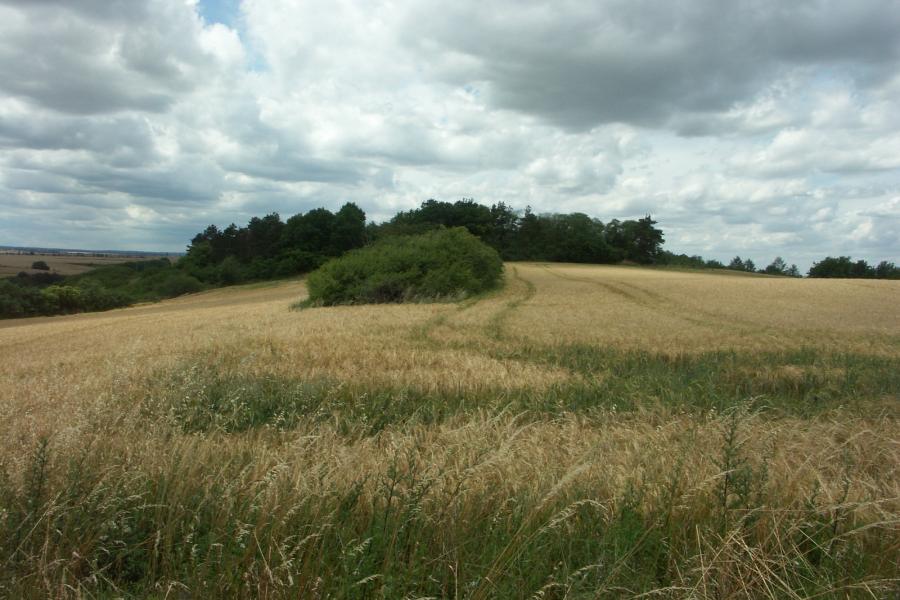 Šance