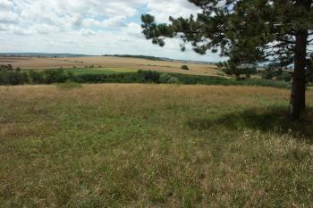 západní část hradiště ( © Milan Caha  07/2007)