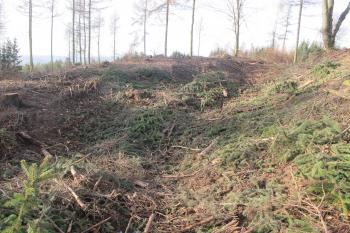 Jižní příkop předsunutého opevnění ( © Dušan Dohňanský 12/2019)