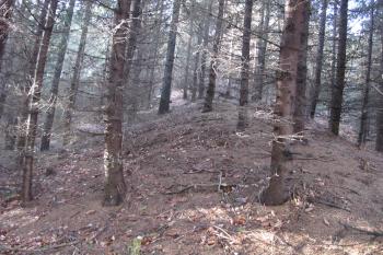 Záp. násep lemující spojovací koridor /ten je vlevo/ mezi předsunutým opevněním a 1. předhradím (© Dušan Dohňanský  12/2019)