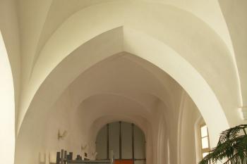 ambit (© Karel Husák, 09/2009)