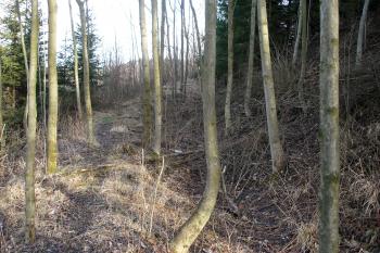 Příkop na západě - vlevo je stráň do údolí, vpravo jádro ( © iV 22.3.2008)