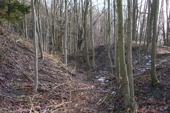 Příkop na jihu ( © iV 22.3.2008)