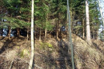 Výrazná kupa v čele jádra - snad pozůstatek bergfritu - foceno od jihovýchodu ( © iV 22.3.2008)