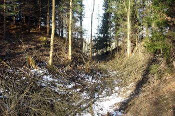 Příkop na severu - vlevo jádro hradu ( © iV 22.3.2008)