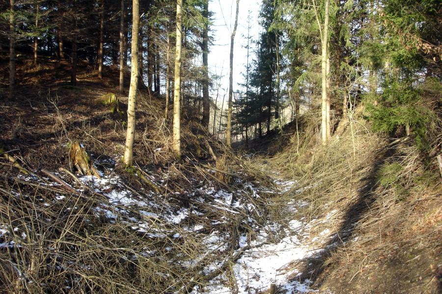 Velký Vřešťov