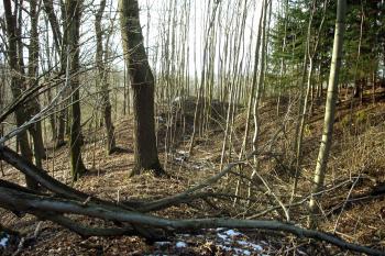 Příkop na východě - foceno od severu ( © iV 22.3.2008)