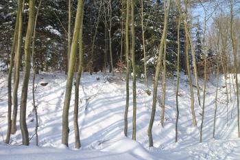pohled z jihovýchodní strany. (© MICHAL VAŠATA, 01/2010)