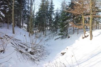 Příkop a val před hradem. (© MICHAL VAŠATA, 01/2010)