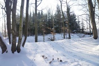 Před hradem. (© MICHAL VAŠATA, 01/2010)