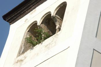  ( © Milan Caha 05/2008)