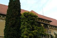 Ždánice