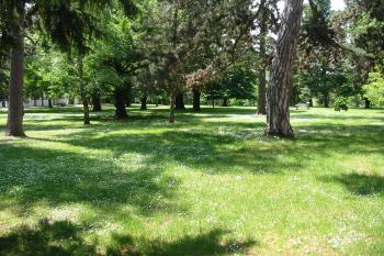 zám.park na jižní straně (© D Dohňanský, 06/2015)
