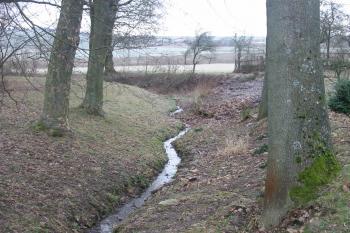 Zaoblení vnějšího příkopu na jz. (© D Dohňanský, 01/2016)
