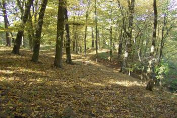 Celkový pohled na hrádek od jihovýchodu ( © Roman Řezáč 10/2008)