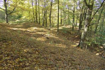 Příkopy a mezilehlý val na jižní straně hrádku ( © Roman Řezáč 10/2008)