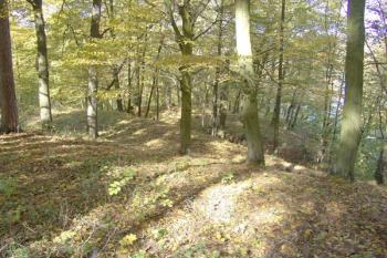 Celkový pohled na hrádek od jihu přes dvojici příkopů a mezilehlý val ( © Roman Řezáč 10/2008)