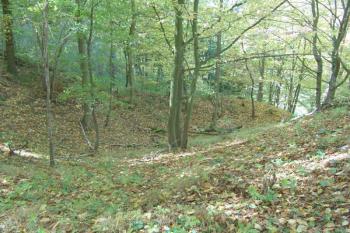 Druhý příkop na jihozápadní straně ( © Roman Řezáč 10/2008)
