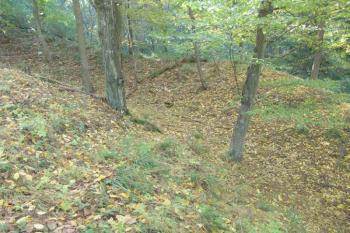 Druhý příkop na západní straně pod jádrem ( © Roman Řezáč 10/2008)