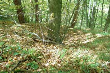 Prohlubeň po věžovité stavbě v čele jádra ( © Roman Řezáč 10/2008)