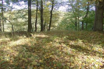 Východní část jádra, bez známek zástavby ( © Roman Řezáč 10/2008)