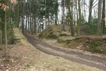 cesta protínající val v severozápadním rohu hradiště ( © Milan Caha 04/2008)