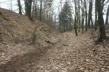 příkop a val v západní části hradiště ( © Milan Caha 04/2008)