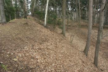 val na severozápadním rohu hradiště ( © Milan Caha 10/2008)