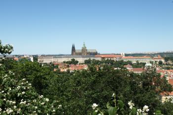 Pražský hrad z Petřína ( © Milan Caha 06/2009)