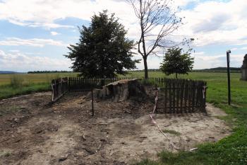 Semtínská Lípa po zásahu žháře :-( (© Josef Filio Šretr, 07/2012)