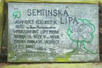 Semtinská lípa
