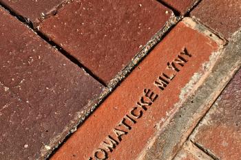 i v detailu je krása (© Jan P. Štěpánek  05/2024)