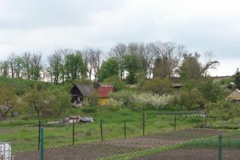 pohled na místo hřbitova ( © Milan Caha 09/2008)