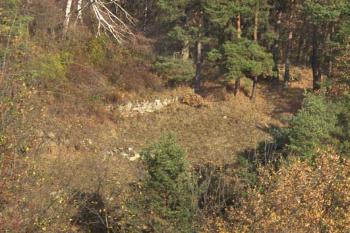  (2003 ©Jiří Marounek)