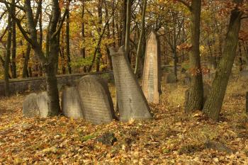  ( © Milan Caha 10/2008)