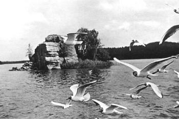 Myší hrádek 1953