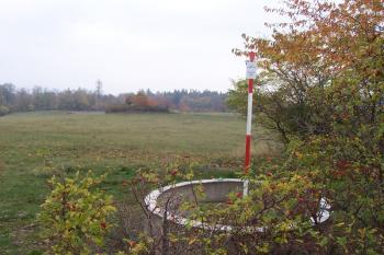 Staré Hradisko - Nejvyšší bod Starého Hradiska - kóta 538 m n.m.. (© Ivo Rozehnal, 10/2008)