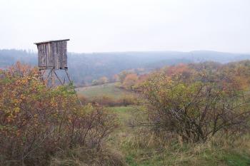 Staré Hradisko - Pohled na jižní část hradiště. (© Ivo Rozehnal, 10/2008)