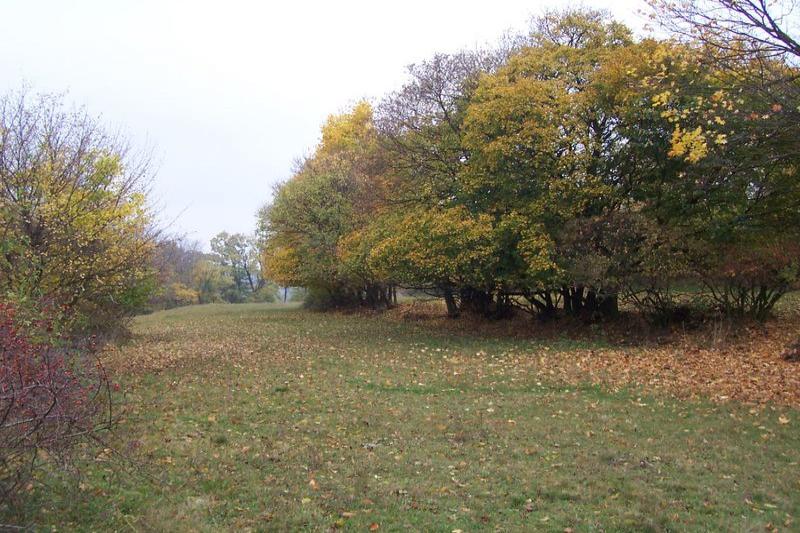 Staré Hradisko
