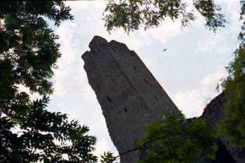 (2003 ©Jiří Marounek)
