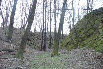 Příkop s předsunutou baštou (© zdeněk komínek, 03/2007)