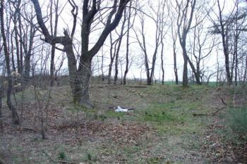 Mělká půdní deprese na baště (© zdeněk komínek, 03/2007)