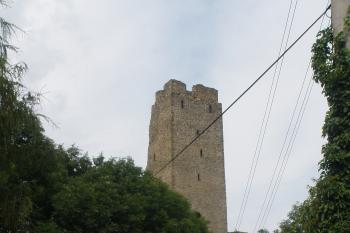  (© Jiří Suchomel, 07/2009)