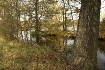východní část příkopu a fragment vnějšího valu ( © Milan Caha 10/2008)